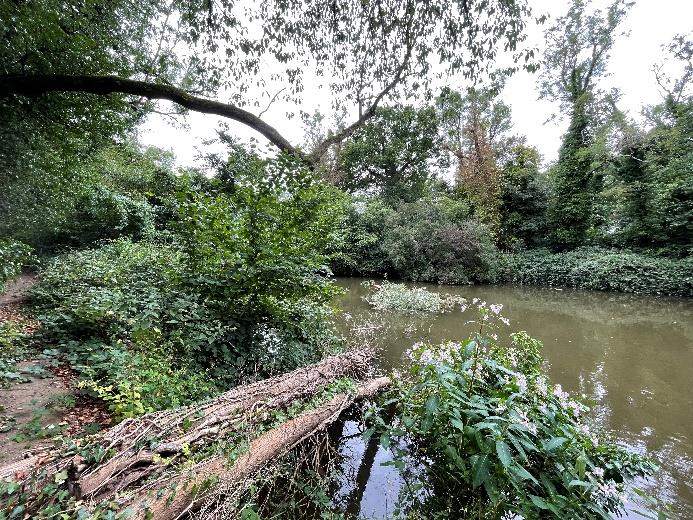 17 Of 2023 Obstruction In River